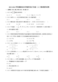 湖南省永州市新田县2023-2024学年八年级上学期期末学业质量监测数学试卷(含答案)