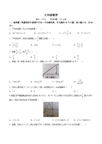 湖南省永州市新田县2023届九年级上学期期末考试数学试卷(含答案)