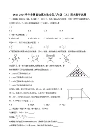 吉林省松原市乾安县2023-2024学年八年级上学期期末教学质量检测数学试卷(含解析)