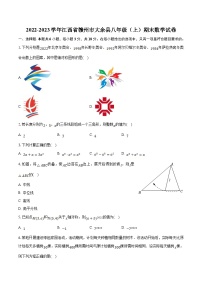 江西省赣州市大余县2022-2023学年八年级上学期期末考试数学试卷(含解析)