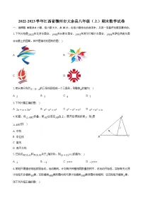 江西省赣州市大余县2022-2023学年八年级上学期期末考试数学试卷(含解析)