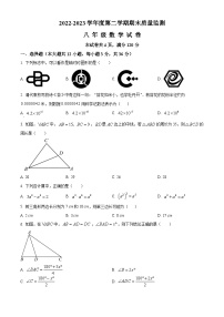 广西壮族自治区柳州市柳城县2022-2023学年八年级上学期期末数学试题（原卷版+解析版）