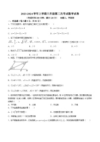 河南省郑州市郑州经济技术开发区郑州二中附属学校2023-2024学年八年级上学期第三次月考数学试题