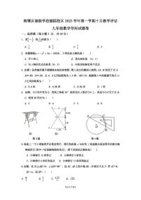 2023学年宁波海曙区储能学校丽园校区初三10月月考数学试卷（PDF版，无答案）