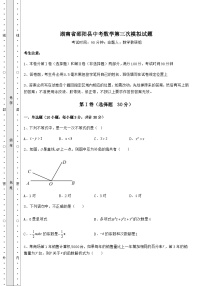 【真题汇总卷】湖南省邵阳县中考数学第三次模拟试题（含答案及解析）