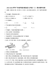 2023-2024学年广东省河源市紫金县七年级（上）期末数学试卷（含详细答案解析）