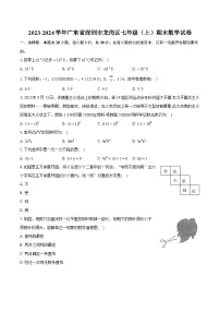 2023-2024学年广东省深圳市龙岗区七年级（上）期末数学试卷（含详细答案解析）
