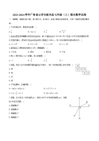 2023-2024学年广东省云浮市新兴县七年级（上）期末数学试卷（含详细答案解析）