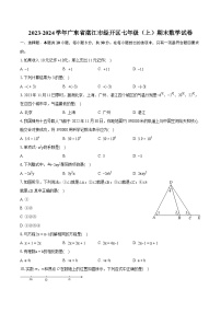 2023-2024学年广东省湛江市经开区七年级（上）期末数学试卷（含详细答案解析）