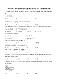 2023-2024学年湖南省衡阳市衡东县七年级（上）期末数学试卷（含详细答案解析）