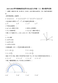 2023-2024学年湖南省张家界市永定区七年级（上）期末数学试卷（含详细答案解析）