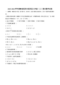 2023-2024学年湖南省岳阳市岳阳县七年级（上）期末数学试卷（含详细答案解析）