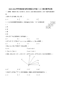 2023-2024学年陕西省宝鸡市陇县七年级（上）期末数学试卷（含详细答案解析）