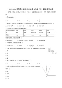 2023-2024学年四川省泸州市泸县七年级（上）期末数学试卷（含详细答案解析）