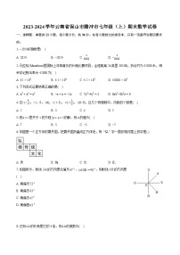 2023-2024学年云南省保山市腾冲市七年级（上）期末数学试卷（含详细答案解析）