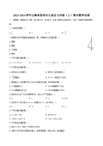 2023-2024学年云南省昆明市九县区七年级（上）期末数学试卷（含详细答案解析）