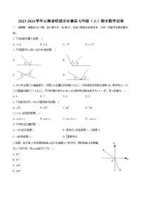 2023-2024学年云南省昭通市永善县七年级（上）期末数学试卷（含详细答案解析）