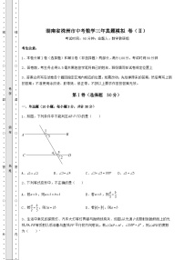 备考练习湖南省株洲市中考数学三年真题模拟 卷（Ⅱ）（含详解）