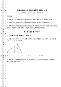 备考练习湖南省湘潭市中考数学模拟专项测试 B卷（含答案及详解）