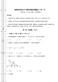 中考数学湖南省娄底市中考数学模拟真题练习 卷（Ⅱ）（含答案及解析）