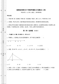 中考专题湖南省株洲市中考数学模拟专项测试 B卷（含答案及解析）