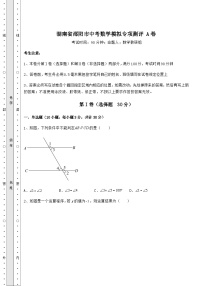 中考专题湖南省邵阳市中考数学模拟专项测评 A卷（含答案及解析）