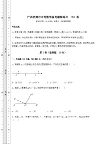 中考专题广西来宾市中考数学备考模拟练习 （B）卷（含答案及解析）