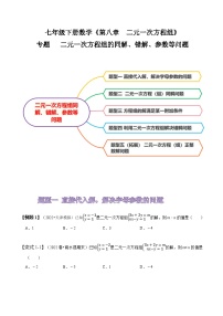 人教版七年级数学下册同步精讲精练专题二元一次方程组的同解、错解、参数等问题(原卷版+解析)