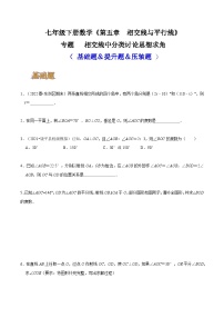 人教版七年级数学下册同步精讲精练专题相交线中分类讨论思想求角(基础题＆提升题＆压轴题)(原卷版+解析)