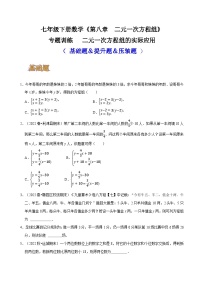 人教版七年级数学下册同步精讲精练专题训练二元一次方程组的实际应用(基础题＆提升题＆压轴题)(原卷版+解析)