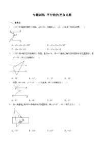 北师大版七年级数学下册同步精讲精练专题训练平行线的拐点问题(原卷版+解析)