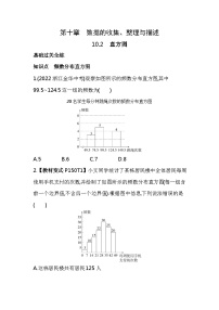 初中人教版10.2 直方图同步测试题