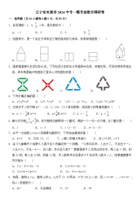 2024年辽宁省本溪市中考一模考前数学调研卷+