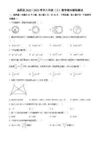 河南省安阳市汤阴县2022-2023学年八年级上学期期末数学模拟试题（原卷版+解析版）