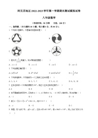 新疆维吾尔自治区阿克苏地区2022-2023学年八年级上学期期末数学试题（原卷版+解析版）