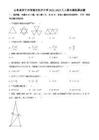 山东省济宁市邹城市张庄中学2022-2023学年八年级上学期期末数学试题（原卷版+解析版）