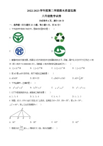 广西壮族自治区柳州市柳江区2022-2023学年八年级上学期期末数学试题（原卷版+解析版）