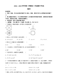 广东省深圳市坪山中学2022-2023学年八年级下学期期中数学试题（原卷版+解析版）