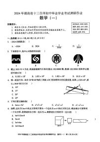 2024年湖南省十三市州初中毕业学业考试调研作业（一）数学试题