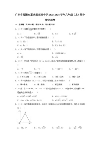 广东省揭阳市惠来县东港中学2023—2024学年上学期八年级期中数学试卷