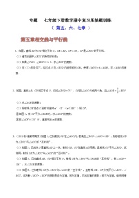 人教版七年级数学下册同步精讲精练专题期中复习压轴题训练(第五、六、七章)(原卷版+解析)