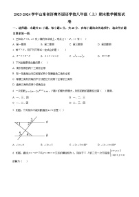 山东省济南市济南外国语学校2022-2023学年八年级上学期期末数学试题（原卷版+解析版）