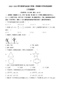 山东省青岛市青岛高新技术产业开发区青岛实验学校2022-2023学年八年级上学期期中数学试题（原卷版+解析版）