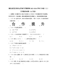 湖北省武汉市洪山区南片区教联体2023—2024学年上学期12月月考八年级数学试卷+