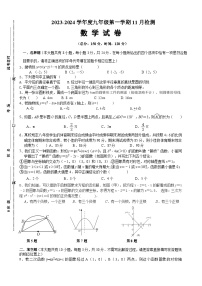 江苏省宿迁市沭阳如东实验学校2023—2024学年九年级上学期11月检测数学试题