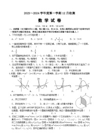 江苏省宿迁市沭阳如东实验学校2023—2024学年九年级上学期12月检测数学试题