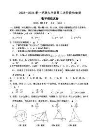 江苏省宿迁市沭阳如东实验学校2023—2024学年九年级上学期第二次阶段检测数学试题