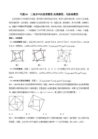 中考数学二轮复习几何模型归纳讲练专题09 三角形中的重要模型-弦图模型、勾股树模型（2份打包，原卷版+教师版）
