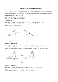 中考数学二轮复习几何模型归纳讲练专题12 全等模型-角平分线模型（2份打包，原卷版+教师版）