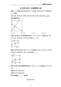 中考数学二轮专题正方形中的十字架模型专训（含答案）